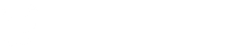 One Global Solutions